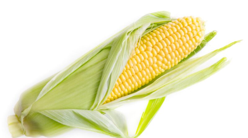is it safe to eat corn on the cob while wearing braces